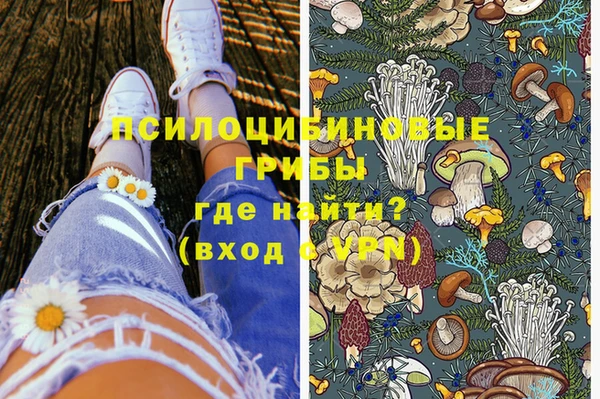 прущий лед Белокуриха