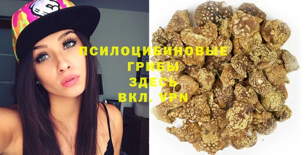 прущий лед Белокуриха